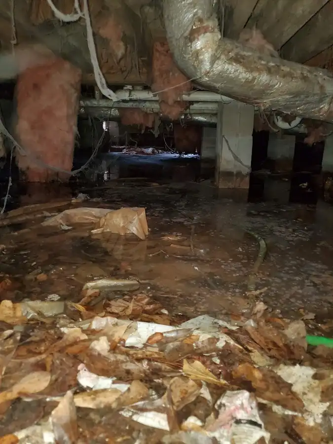 Crawl space flood assessment for Leak Detection & Repair in Winnetka