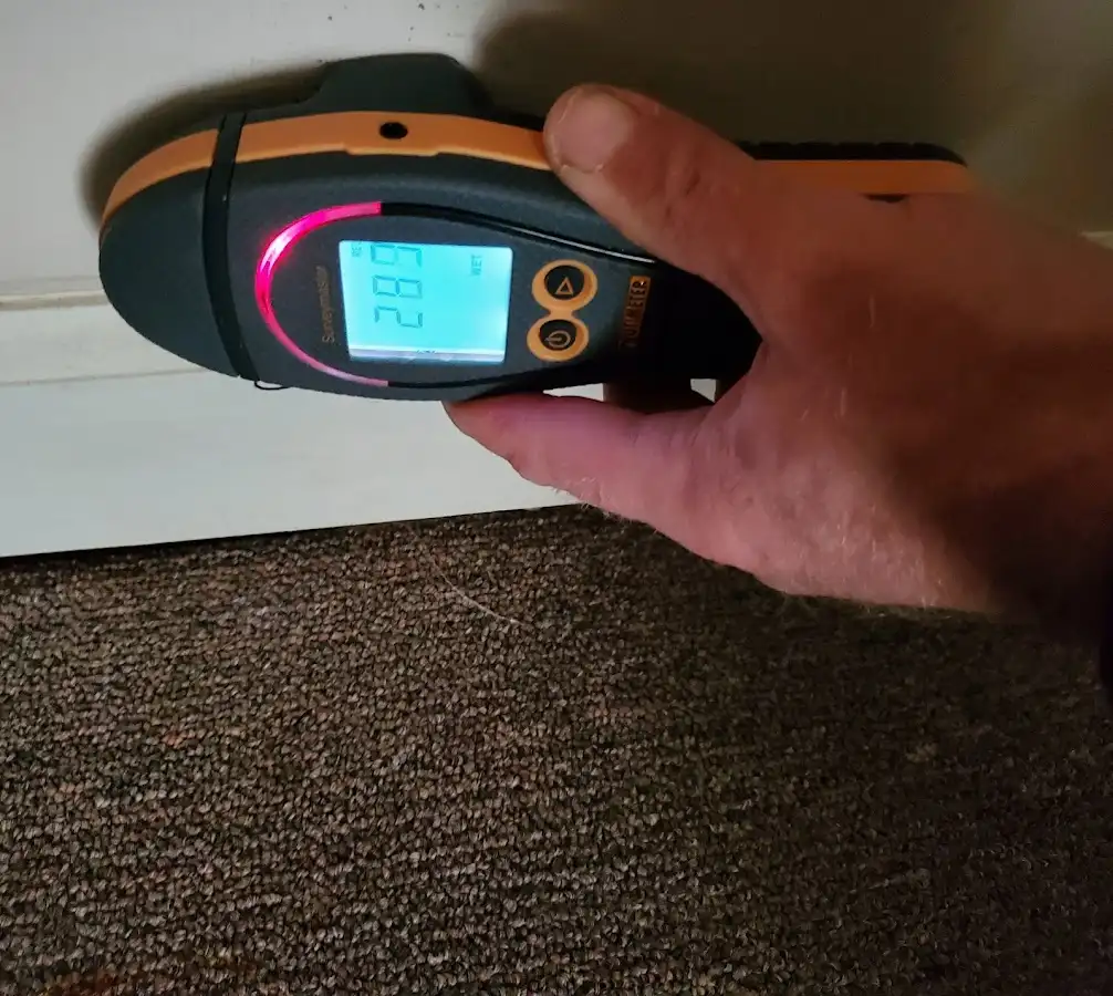 Moisture detection at baseboard during Sewage Cleanup & Sanitation in Winnetka